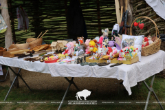 На Ивана на Купала ноченька мала…