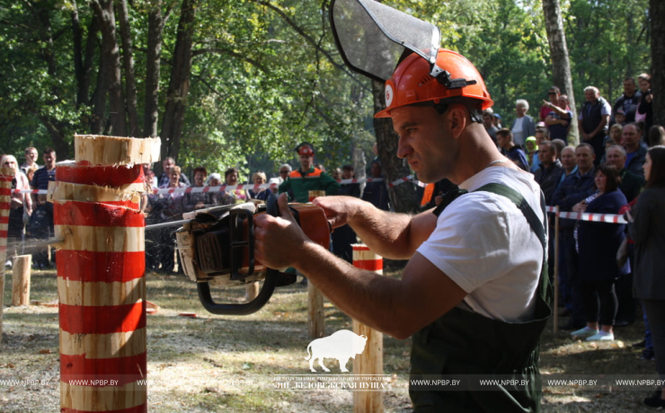 День работников леса в Беловежской пуще!