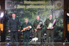 Как прошёл День работников леса 2025