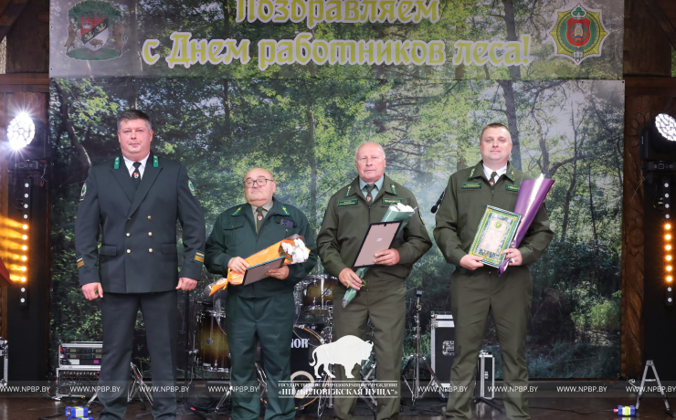 Как прошёл День работников леса 2025