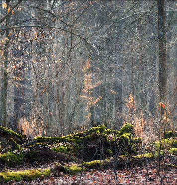 Уважаемые туристы и организации! Важная информация о повышении цен Уважаемые туристы и организации! Важная информация о повышении цен