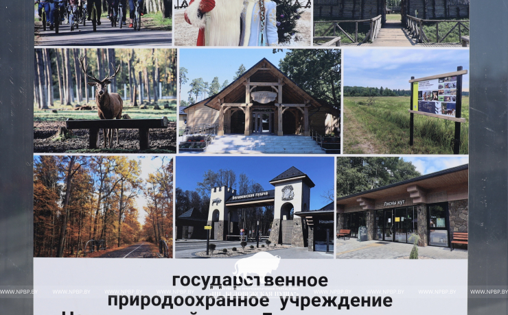 Первое мая - День труда