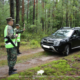 Заготовка ягод в Гродненской области
