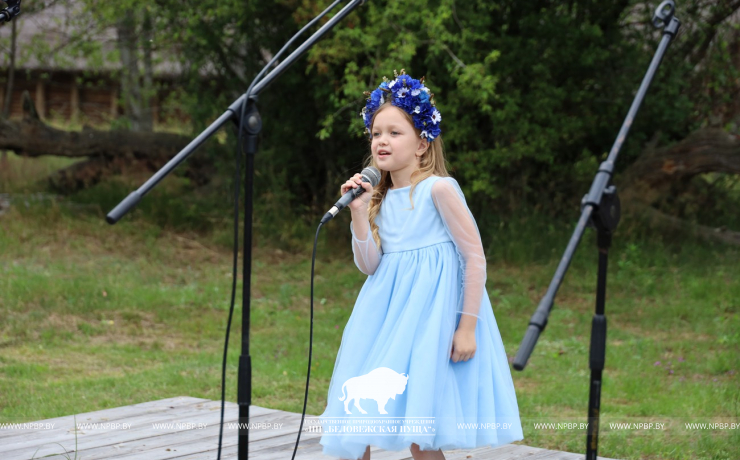 На Ивана на Купала ноченька мала…