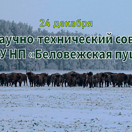 24 декабря состоится заседание Научно-технического совета 