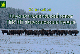 24 декабря состоится заседание Научно-технического совета 