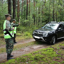  Административный протокол за незаконную вырубку в Беловежской пуще