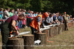 Беловежская пуща отпразднует День работника леса 2016!
