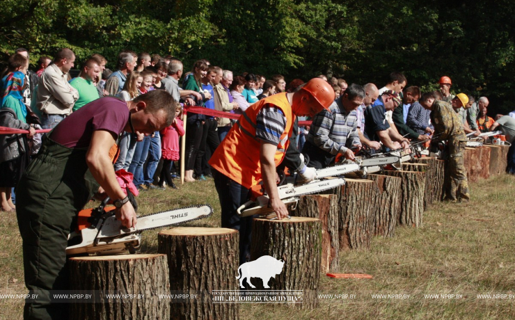 Беловежская пуща ПРИГЛАШАЕТ на День работников леса!