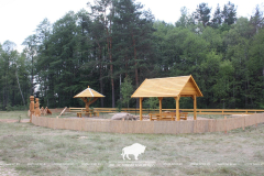 Азёрныя кольцы