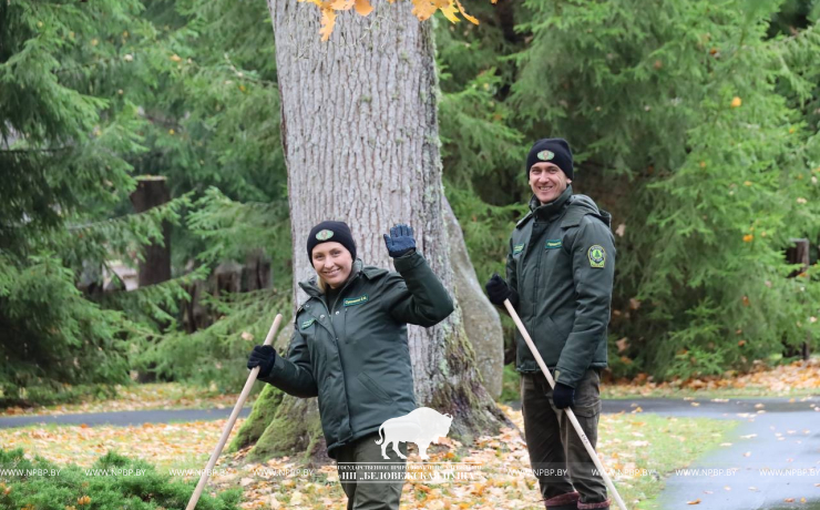 Республиканский субботник в Беловежской пуще