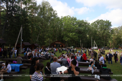 Как прошёл День работников леса 2025