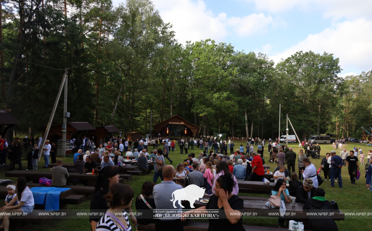 Как прошёл День работников леса 2025