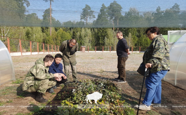 Беловежскую пущу посетила делегация китайских микологов совместно с учеными НАН Беларуси