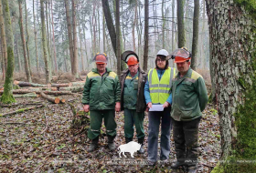 Неделя нулевого травматизма в Беловежской пуще