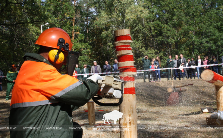 День работников леса в Беловежской пуще!