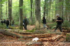 Как съездили: фотоотчет из Баварского леса
