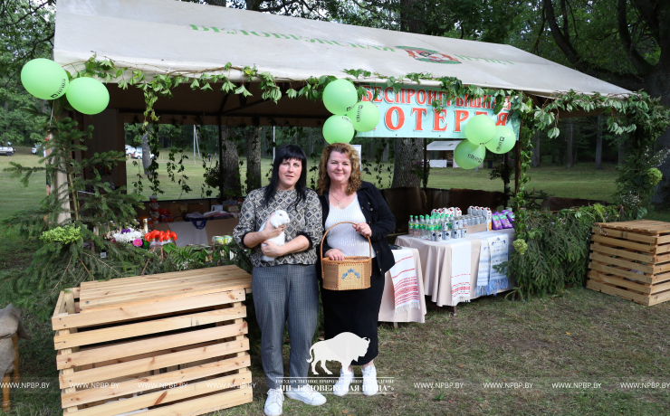 Как прошёл День работников леса 2025