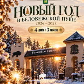 Новый год в Беловежской пуще