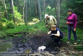  The first students from the European Union investigate Belovezhskaya Pushcha