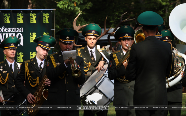 Как прошёл День работников леса 2025