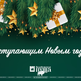 Поздравление с наступающим Новым годом!