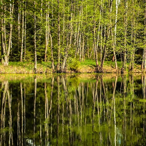 Азёрныя кольцы