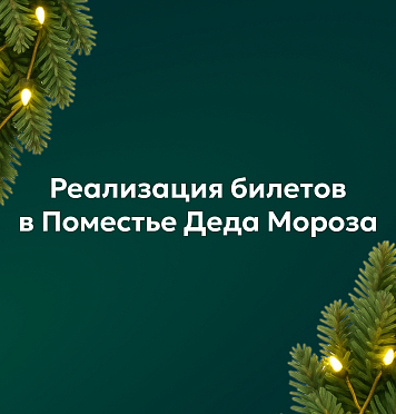 Реализация билетов в Поместье Деда Мороза