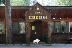 Кафэ «Сосны»