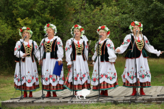 На Ивана на Купала ноченька мала…