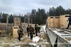Расселение оленя благородного из Беловежской пущи по Брестской области