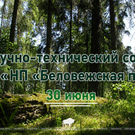 Заседание Научно-технического совета – 30 июня