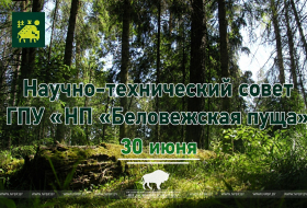 Заседание Научно-технического совета – 30 июня
