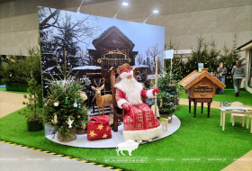 «Моя Беларусь»: Масштабная выставка достижений стартует в Минске с 19 декабря