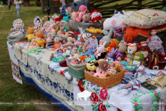 На Ивана на Купала ноченька мала…