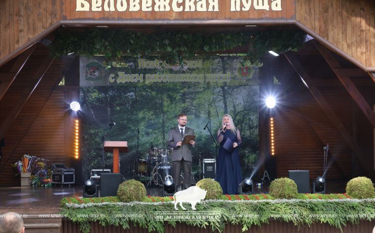 Как прошёл День работников леса 2025