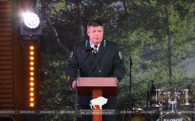 Как прошёл День работников леса 2025