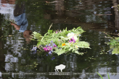 На Ивана на Купала ноченька мала…