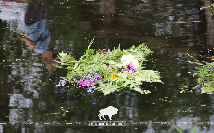 На Ивана на Купала ноченька мала…