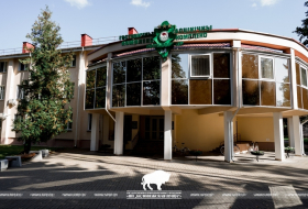 Discount Week in The Belovezhskaya Pushcha