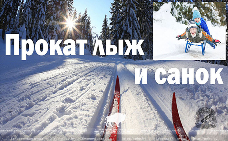 В Беловежской пуще открыли лыжный сезон