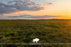 Всемирный день водно-болотных угодий