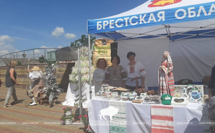 ГПУ НП "Беловежская пуща" принимает участие в культурно-спортивном фестивале "Вытокі"