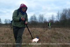 Тайны археологии Беловежской пущи раскрываются с помощью радиотехнического зондирования