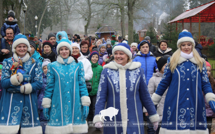 Возвращение Матушки Зимы в Беловежскую пущу