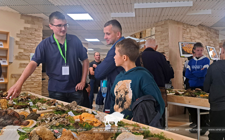 Грибные выходные в Беловежской пуще