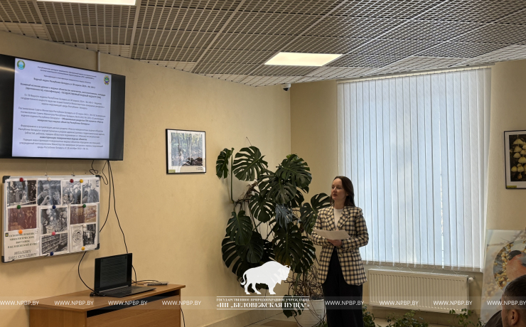 Научный семинар о восстановлении гидрологического режима