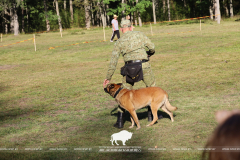 Как прошёл День работников леса 2025