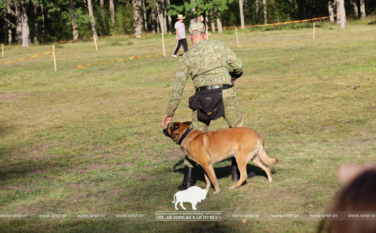 Как прошёл День работников леса 2025