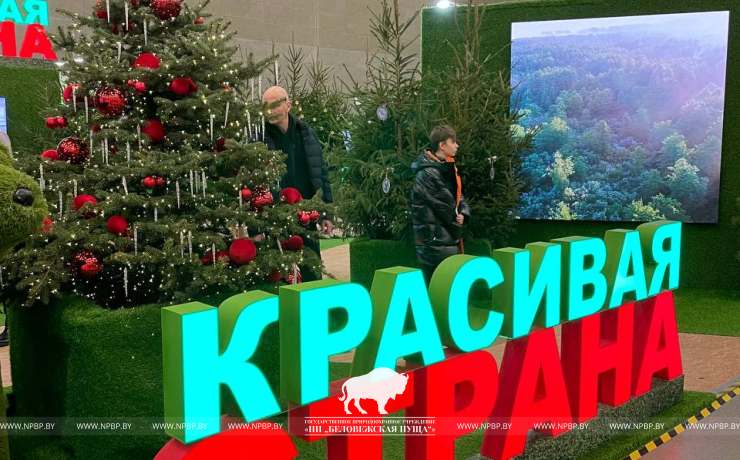 ВЫСТАВКА «МОЯ БЕЛАРУСЬ»